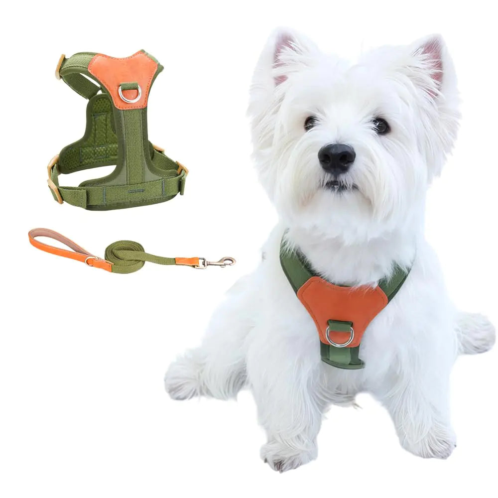 CHUNFENGX No Pull Dog Harness and Leash Set Front Clip Dog Harness Medium Sized Dog Training Harness Easy Walk Dog Harness for Small Medium Dog Harness (Green XS) - Ayora Pets