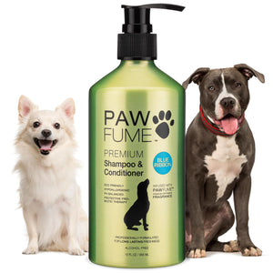 Pawfume Dog Shampoo and Conditioner – Hypoallergenic Dog Shampoo for Smelly Dogs – Best Dog Shampoos & Conditioners – Probiotic Pet Shampoo for Dogs – Best Dog Shampoo for Puppies (Blue Ribbon) - Ayora Pets