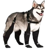 XXL-Dog Rain Boots Waterproof Dog Boots with Suspenders Anti-Slip Dog Shoes Reflective Dog Boots & Paw Protectors for Medium Large Dogs Dog Shoes for Hiking Rainy and Snowy Days - Ayora Pets
