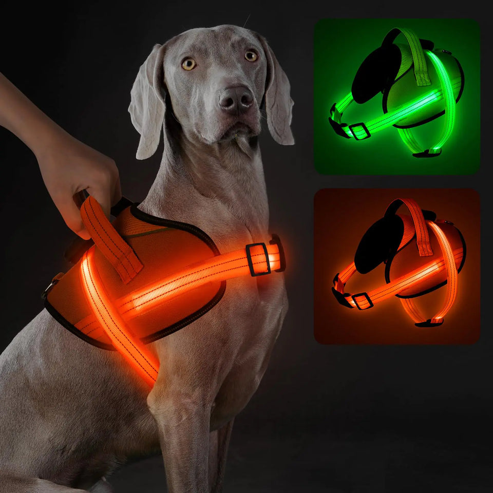 Light Up Dog Harness No-Pull Led Dog Harness Rechargeable Reflective Glow in The Dark Dog Vest Harness Adjustable & Comfort Padded Lighted Dog Harness for Safety Night Walking (Orange S) - Ayora Pets