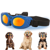 Dog Goggles Small Breed UV/Wind/Dust/Fog Protection Pet Sunglasses with Adjustable StrapOutdoor Dog Sunglasses for Small DogsEasy WearSoft Dog Goggles - Ayora Pets