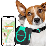 Woyamay GPS Tracker for Dogs and Cats Mini Cat & Dog GPS Tracker with Health Monitor and GPS Dog Fence Waterproof GPS Pet Tracker Works with Any Collar (Android and iOS Universal) - Ayora Pets