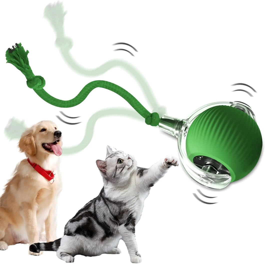 KDIRST 2025 New Interactive Cat Toys Balls Motion Activate Fast Rolling on Carpet Toys Interactive Dog Smart Ball Toy Interactive Cat Ball Toy Interactive Self Moving Balls Toys (Green) - Ayora Pets