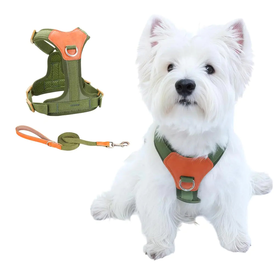 CHUNFENGX No Pull Dog Harness and Leash Set Front Clip Dog Harness Medium Sized Dog Training Harness Easy Walk Dog Harness for Small Medium Dog Harness (Green XS) - Ayora Pets