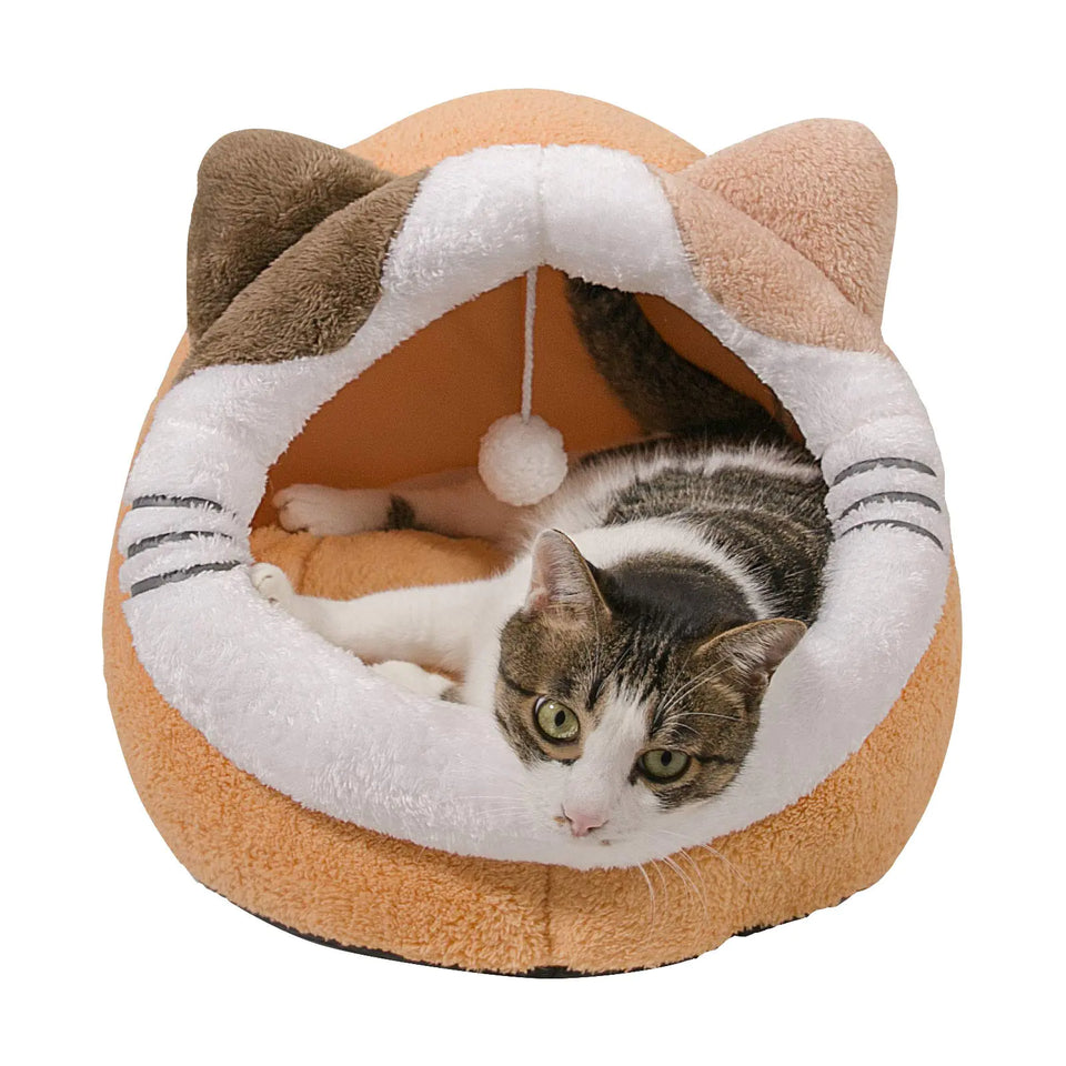 Qucey Cat Beds for Indoor Cats Cat Cave Bed Cat Tent House Cat Hut with Rovemable Washable Cushioned Pillow Kitten Beds Small Dog Bed - Ayora Pets