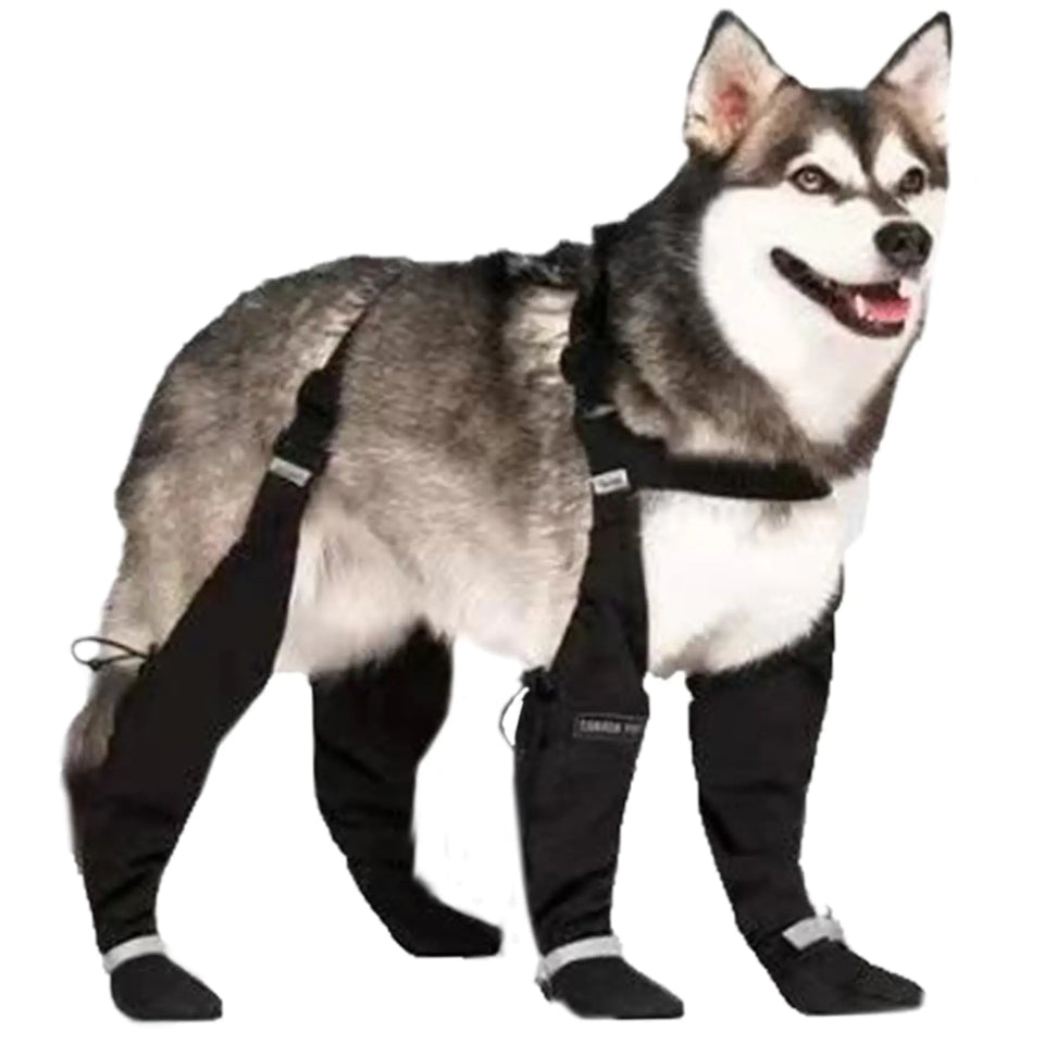 XXL-Dog Rain Boots Waterproof Dog Boots with Suspenders Anti-Slip Dog Shoes Reflective Dog Boots & Paw Protectors for Medium Large Dogs Dog Shoes for Hiking Rainy and Snowy Days - Ayora Pets