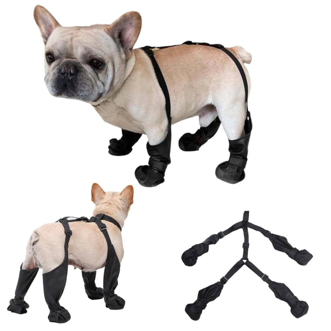 Dog Boots Suspenders Waterproof Anti-Slip Dogs Paw Protectors Pet Shoes for Small Medium Big Dogs Adjustable Anti-Dirt Dog Shoes Suspender Boots for Winter Walking Hiking/Summer Hot Pavement - Ayora Pets